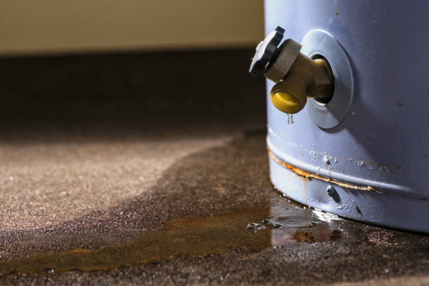 Best Carpet water damage restoration  in Huntsville, AL