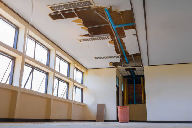 Best 24/7 water damage repair  in Huntsville, AL